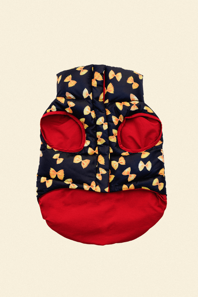 Little Beast x Rachel Antonoff Dog Parka RachelAntonoff.com