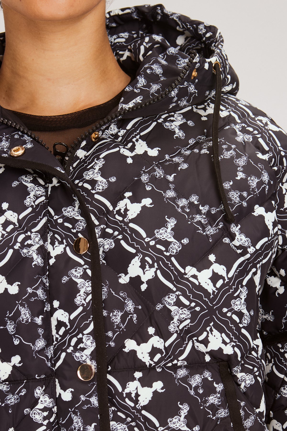 ACE PUFFER POODLES