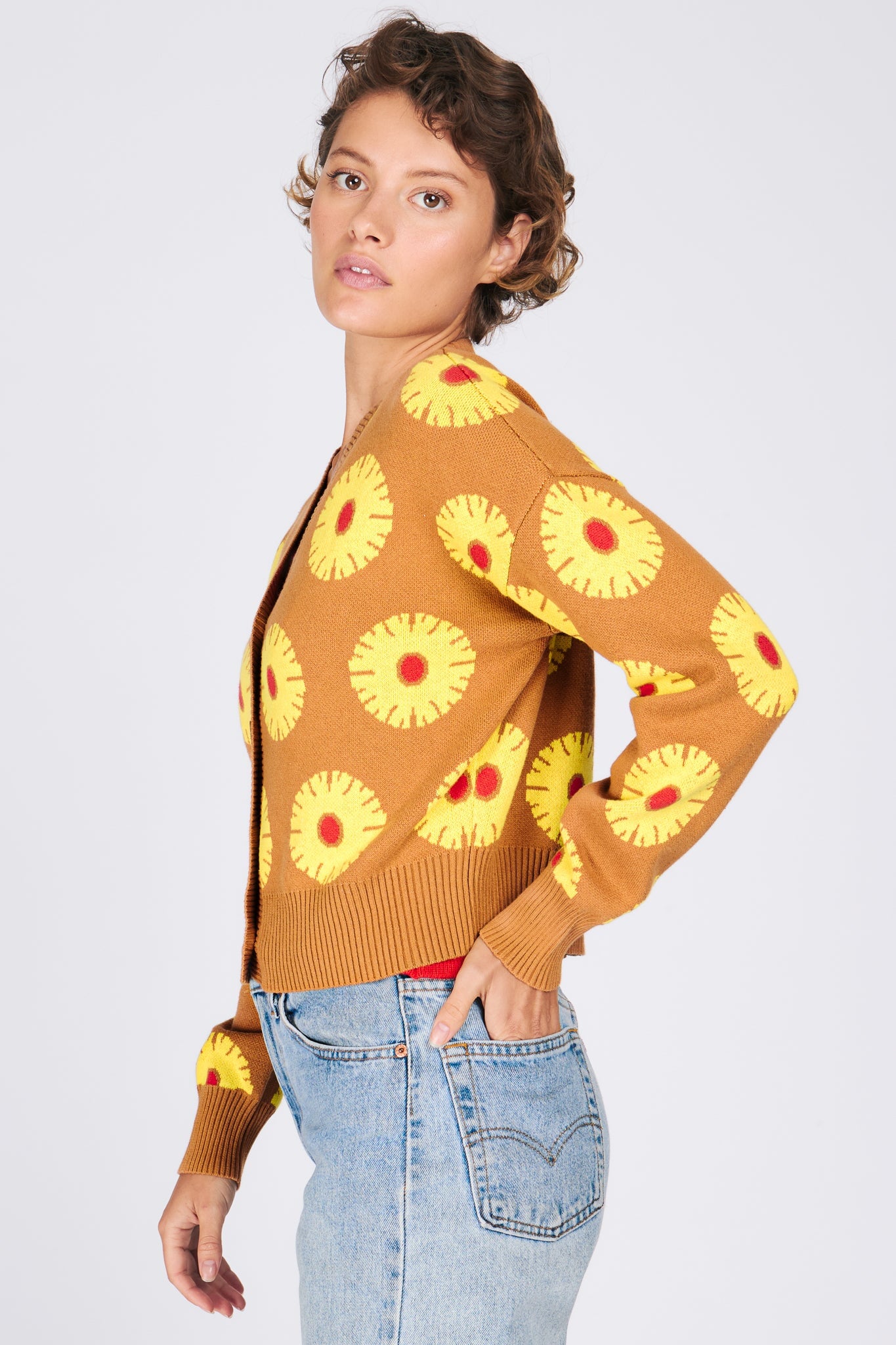 ANA CARDIGAN PINEAPPLE CAKE SWEATERS RachelAntonoff.com