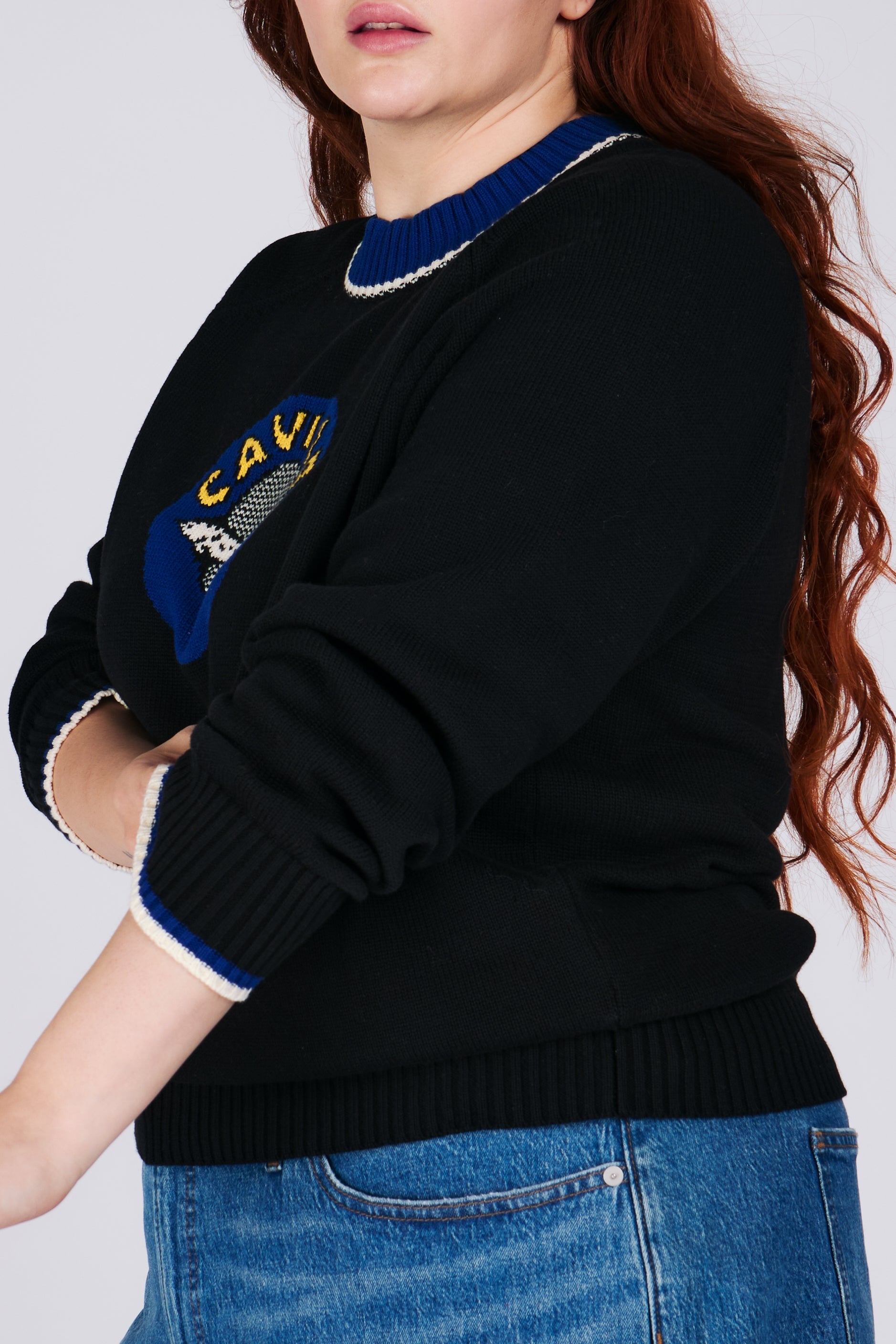 CAVIAR SWEATER Sweaters RachelAntonoff.com