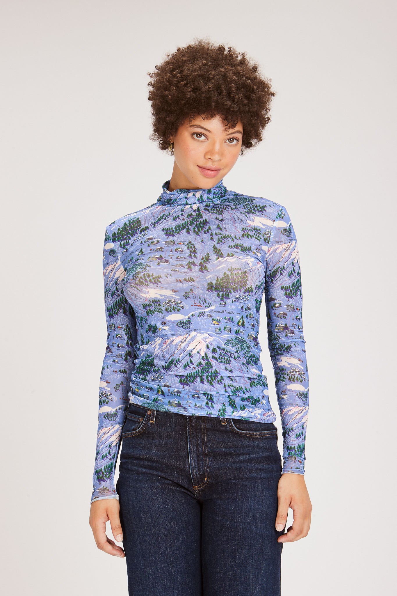 LILLIAN TURTLENECK SKI TOWN MAP