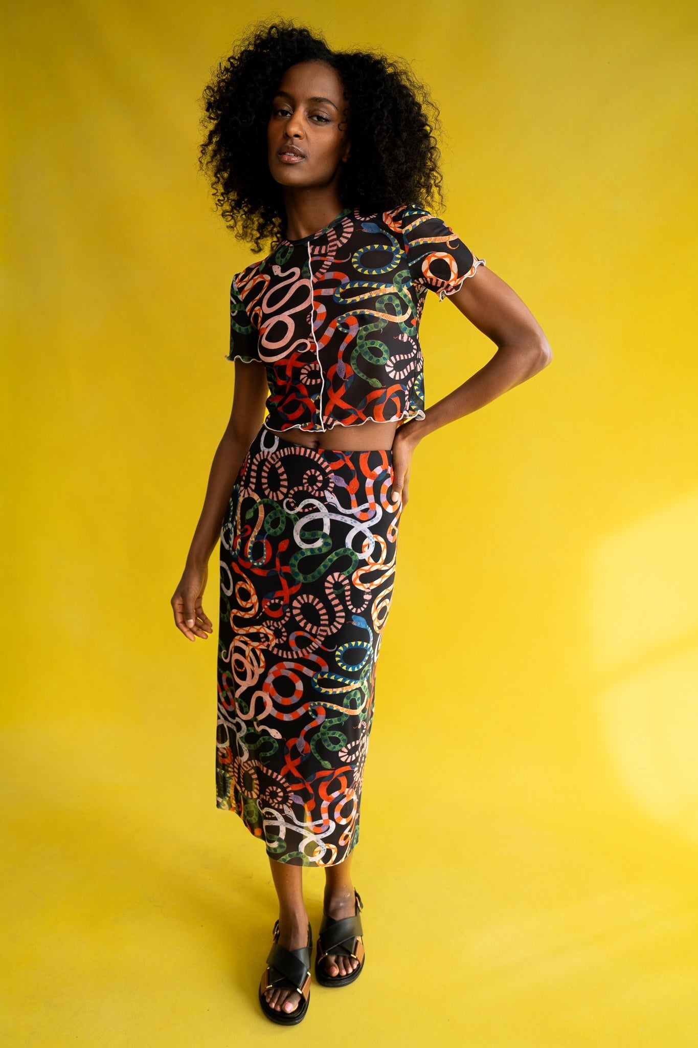 CHELSEA SKIRT SNAKES SKIRTS RachelAntonoff.com