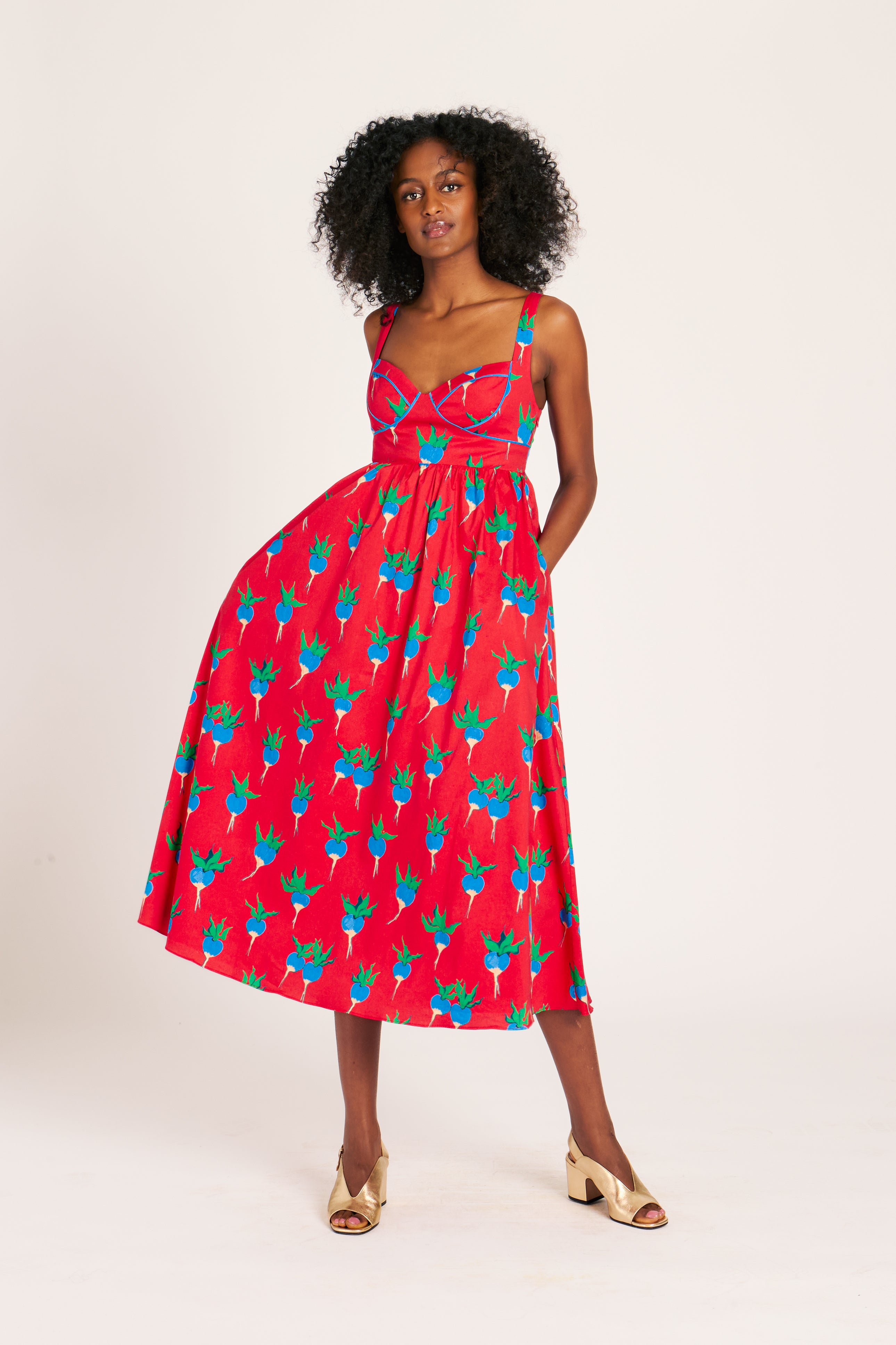 VICTORIA DRESS BLUE RADISHES DRESSES RachelAntonoff.com