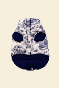 Little Beast x Rachel Antonoff Dog Parka RachelAntonoff.com 