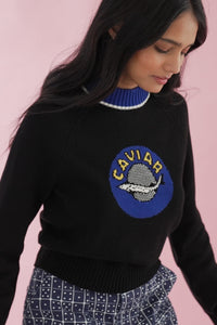 CAVIAR SWEATER Sweaters RachelAntonoff.com 