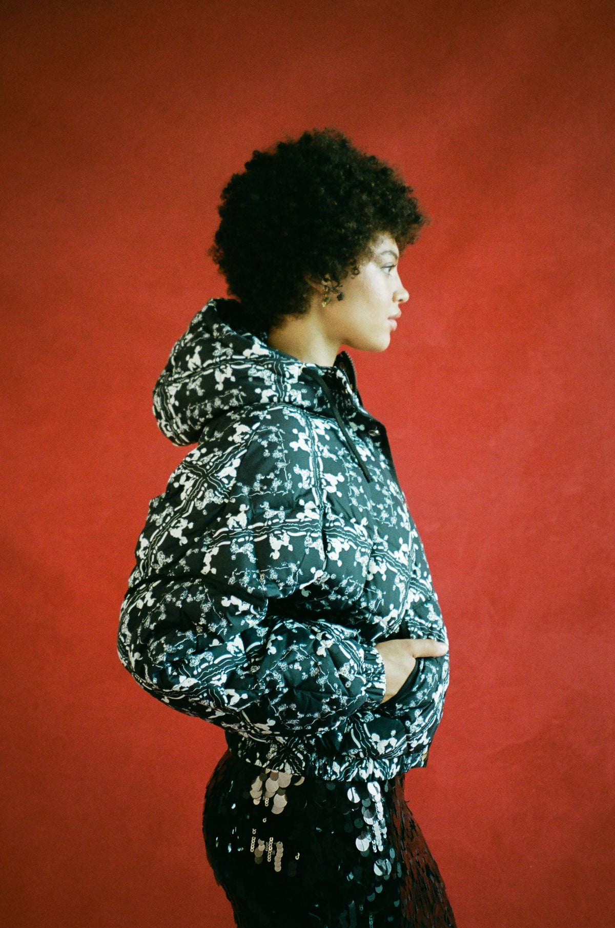 ACE PUFFER POODLES