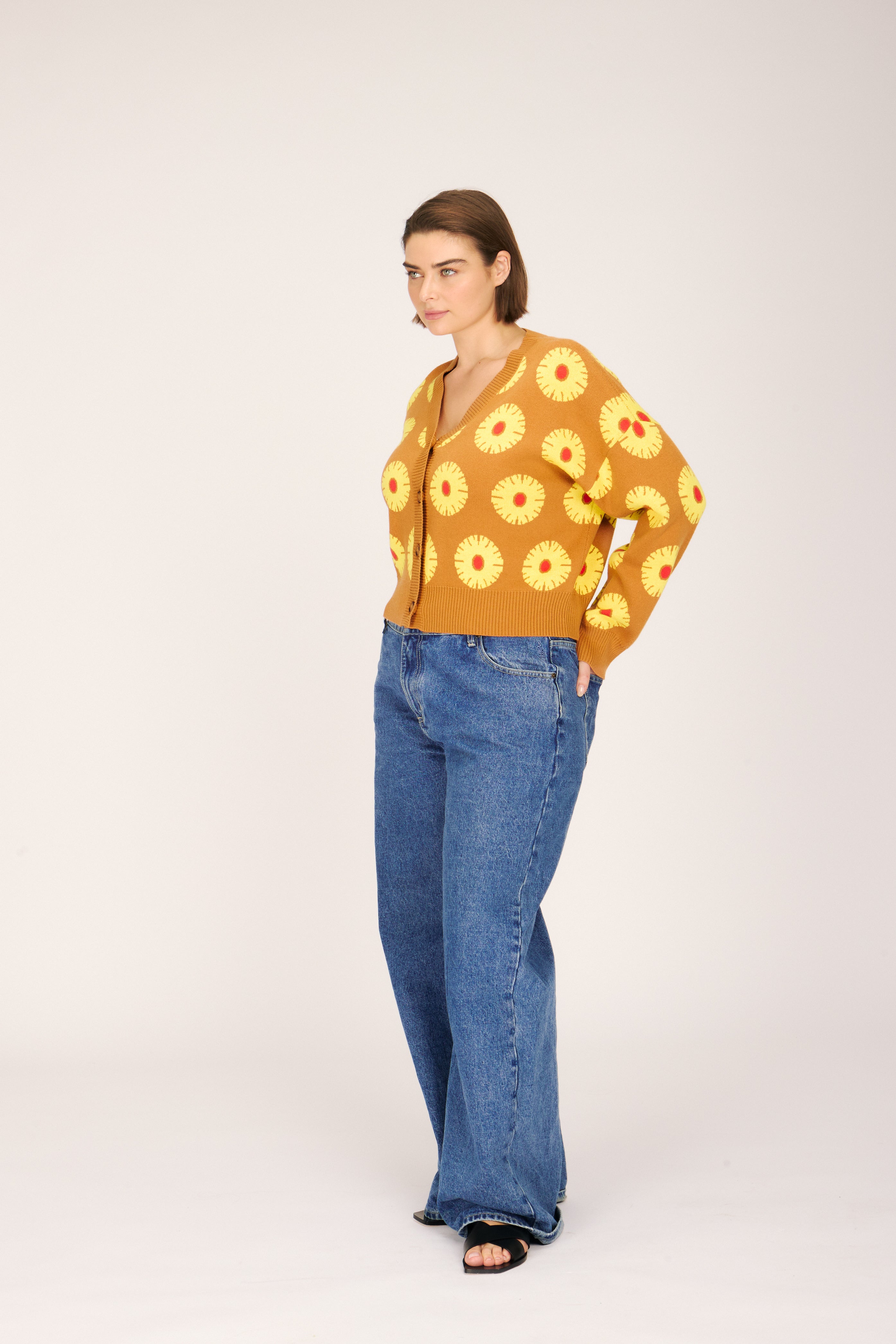 ANA CARDIGAN PINEAPPLE CAKE SWEATERS RachelAntonoff.com 