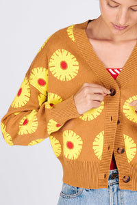 ANA CARDIGAN PINEAPPLE CAKE SWEATERS RachelAntonoff.com 
