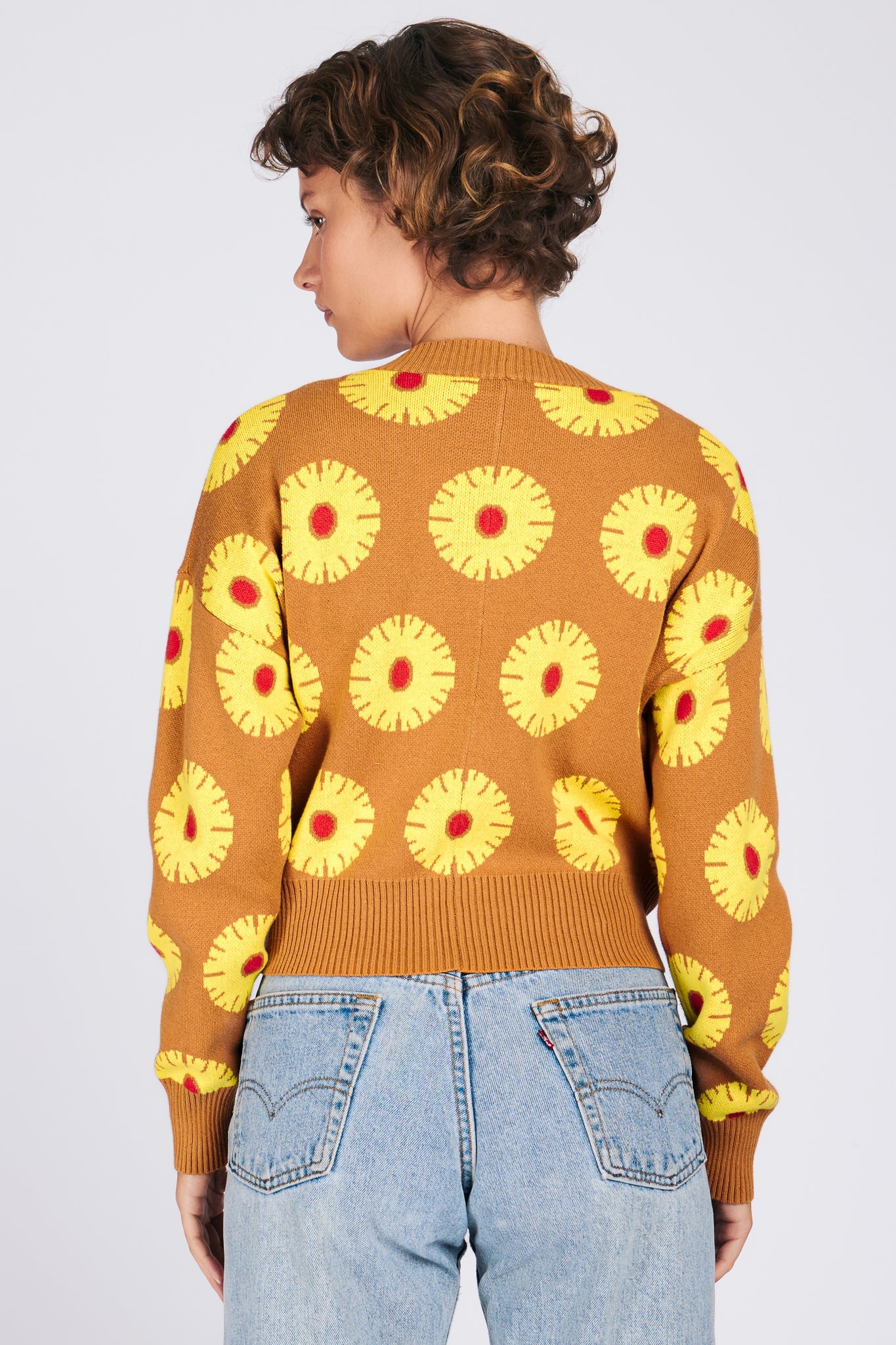 ANA CARDIGAN PINEAPPLE CAKE SWEATERS RachelAntonoff.com 