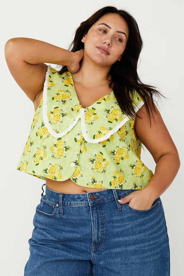 Women's Designer Extended Size Clothing Rachel Antonoff