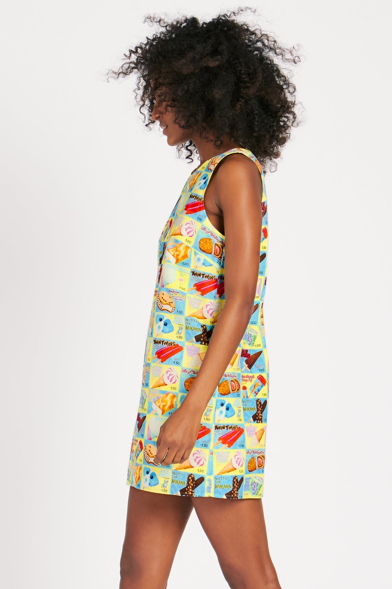 LOLA DRESS ICE CREAM TRUCK DRESSES RachelAntonoff.com 