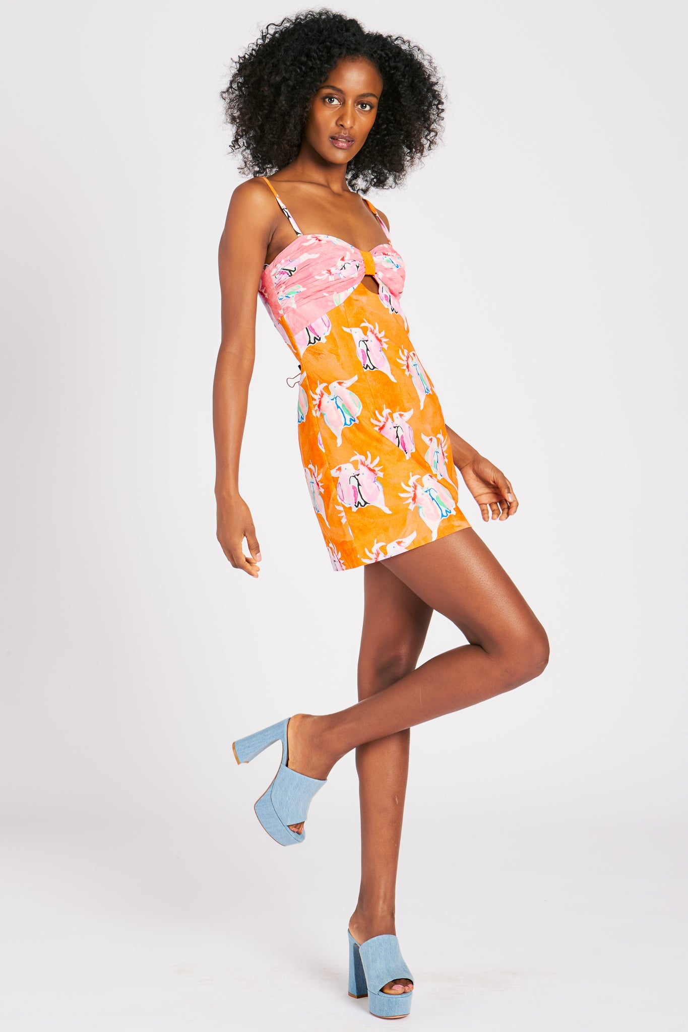 MINNIE DRESS COCKATOOS DRESSES RachelAntonoff.com 