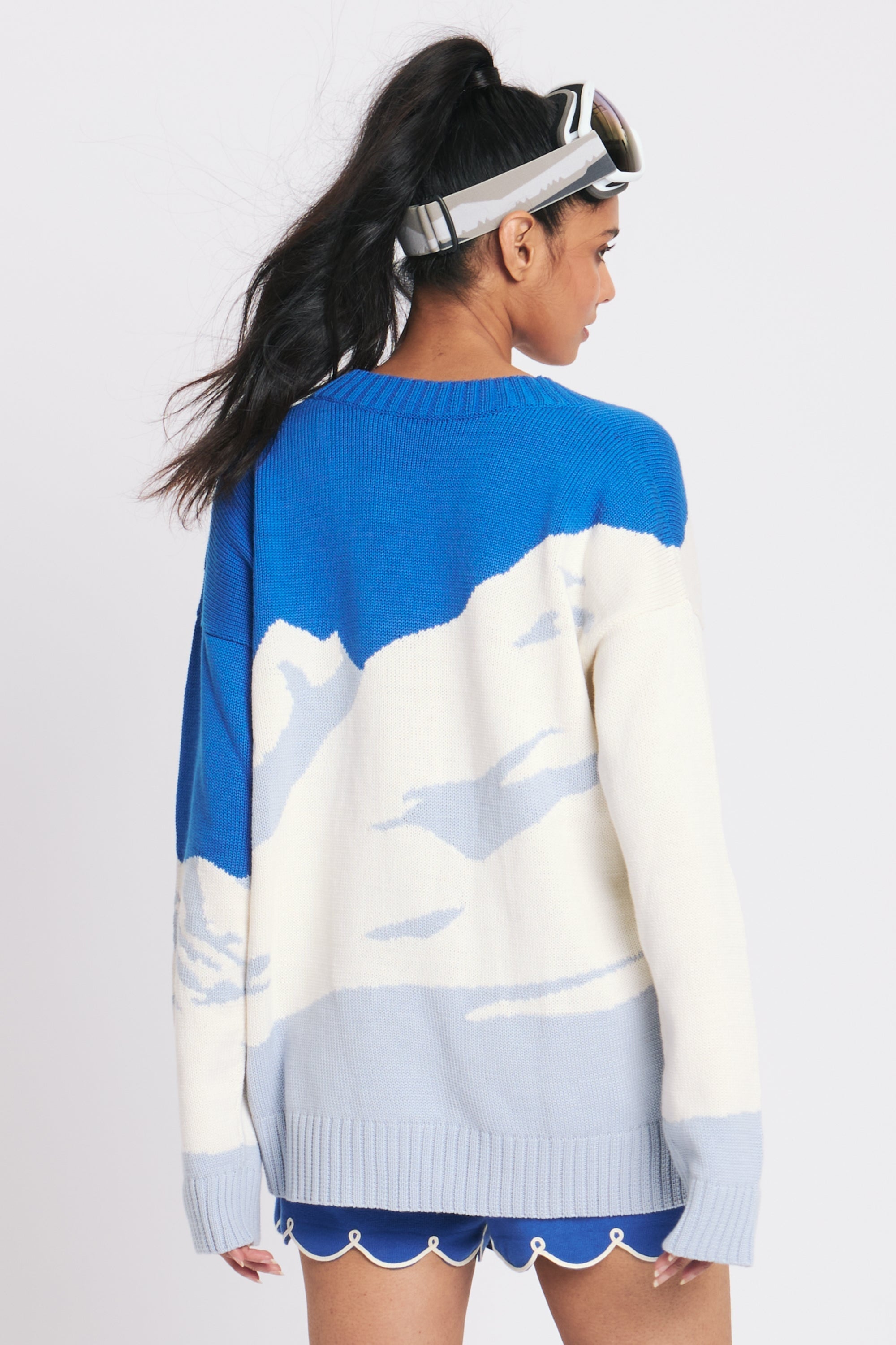SKI SLOPE CARDIGAN RachelAntonoff.com 