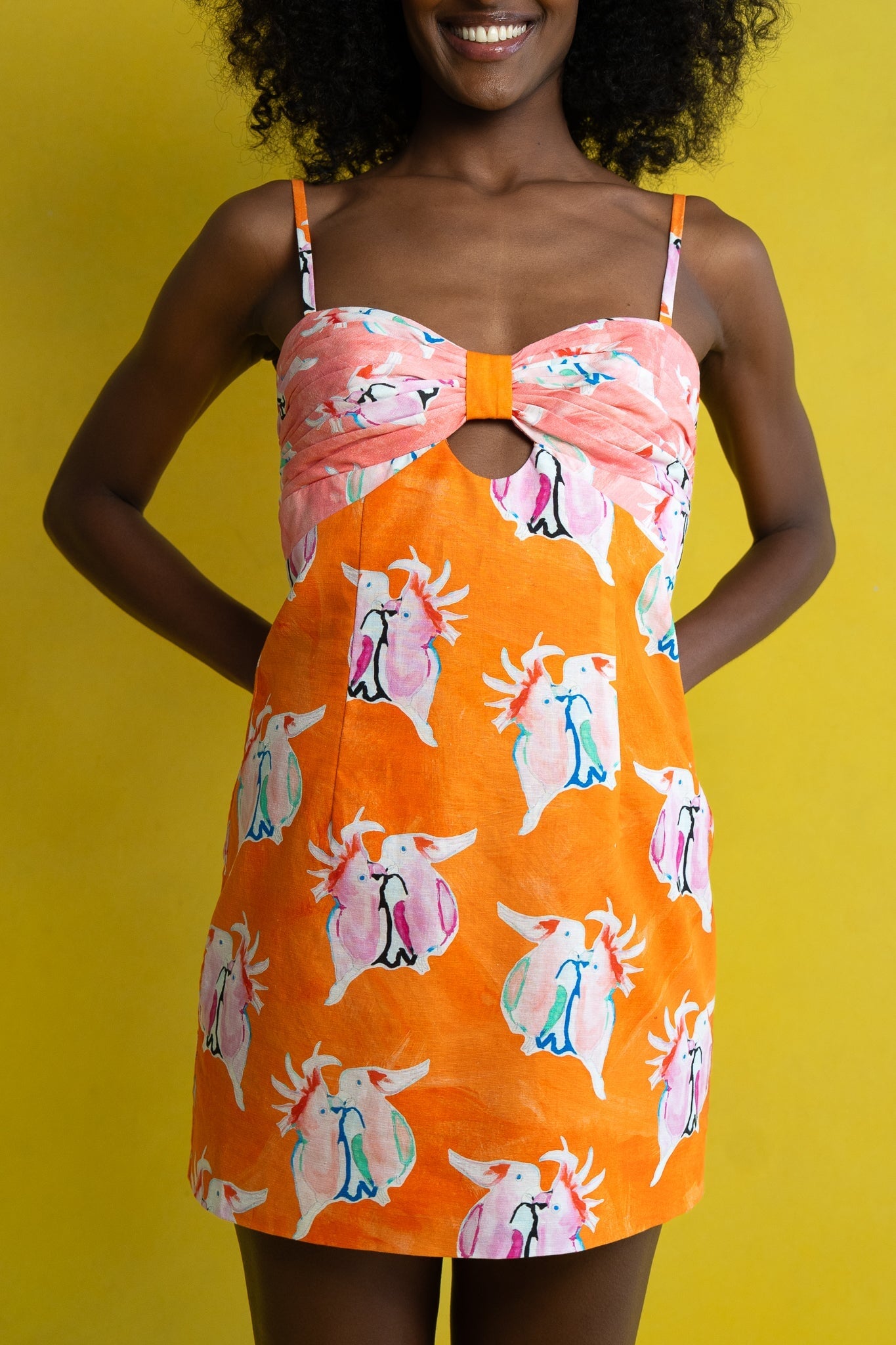 MINNIE DRESS COCKATOOS DRESSES RachelAntonoff.com 