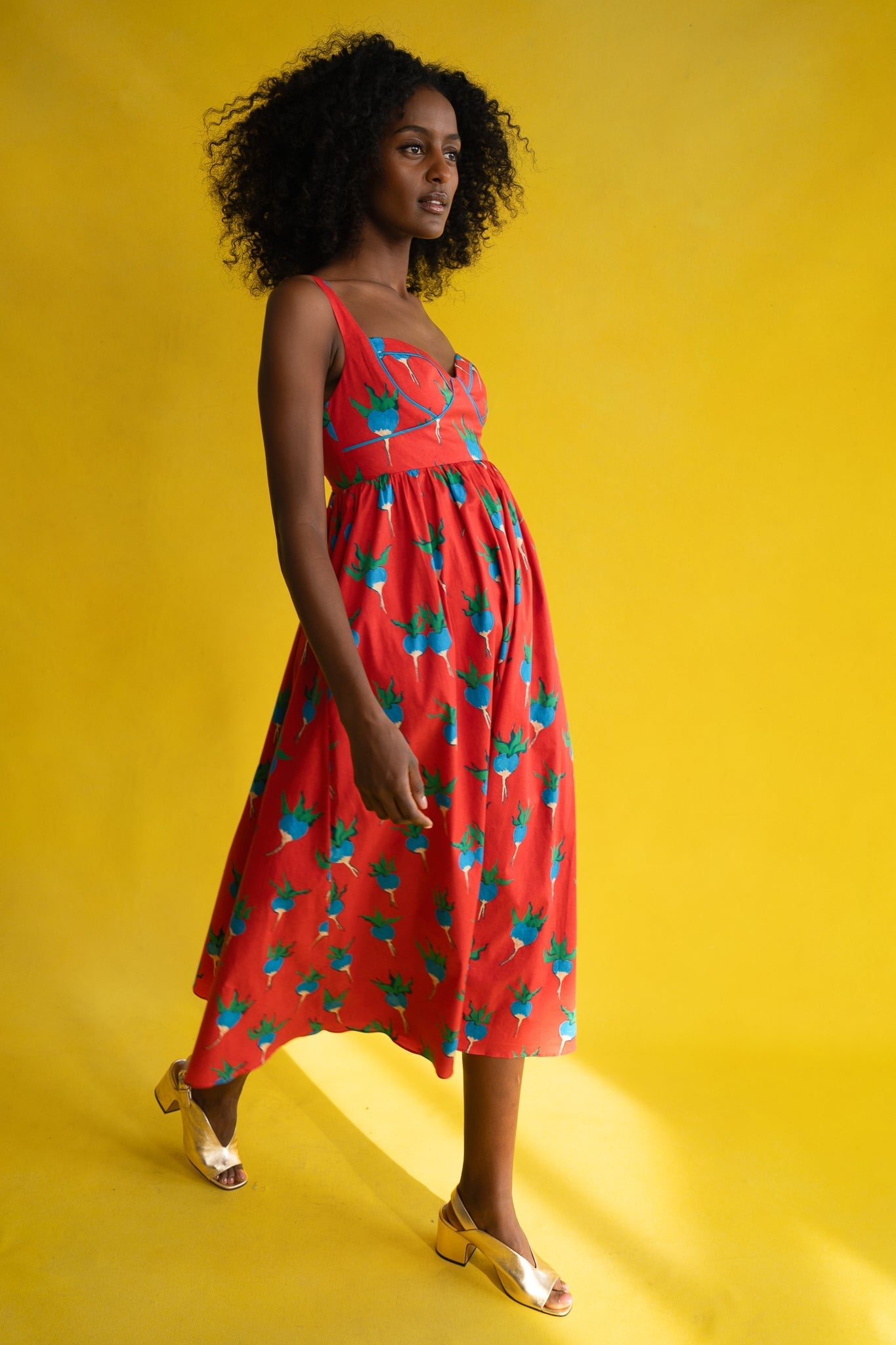 VICTORIA DRESS BLUE RADISHES DRESSES RachelAntonoff.com 