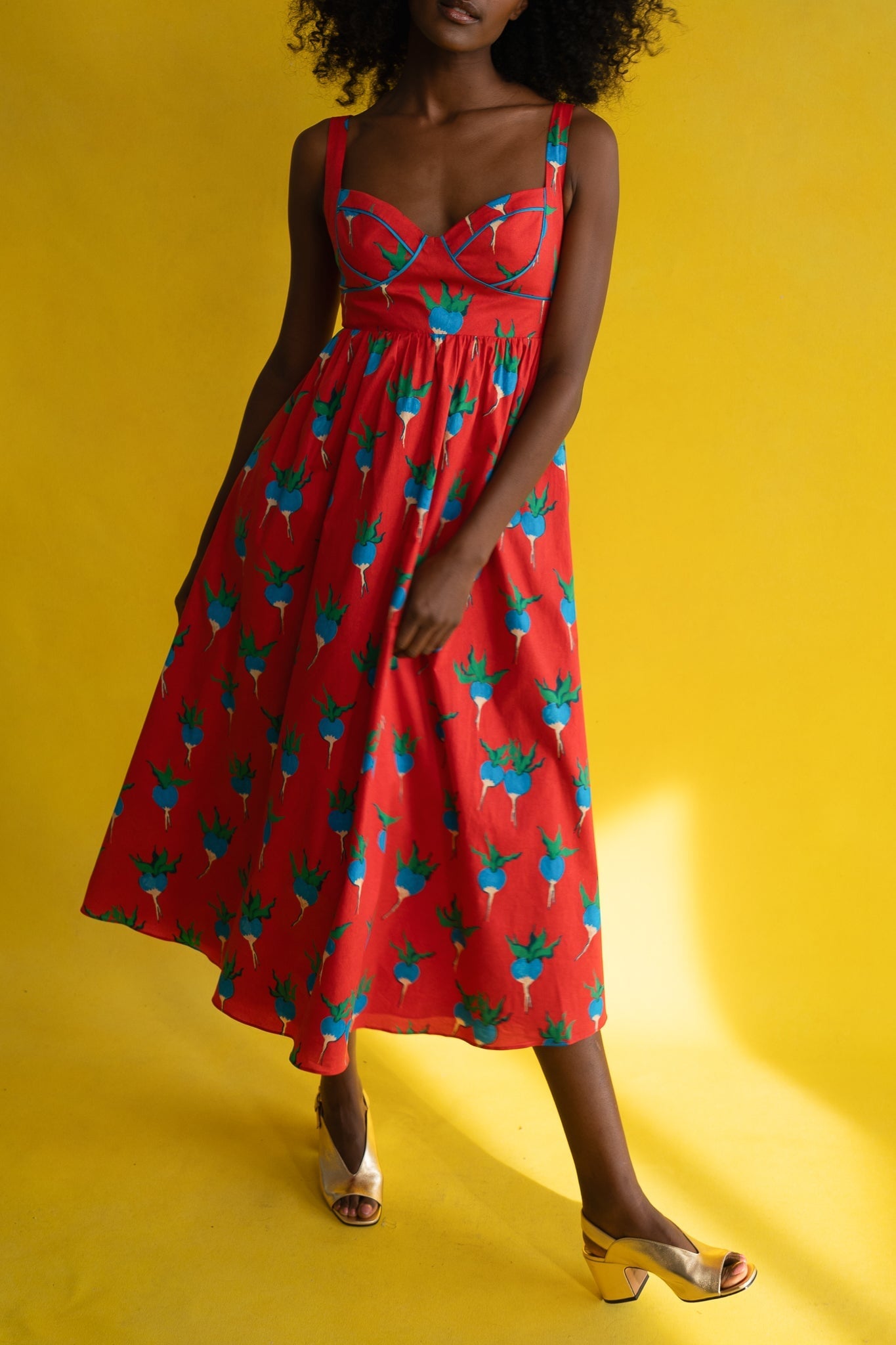 VICTORIA DRESS BLUE RADISHES DRESSES RachelAntonoff.com 