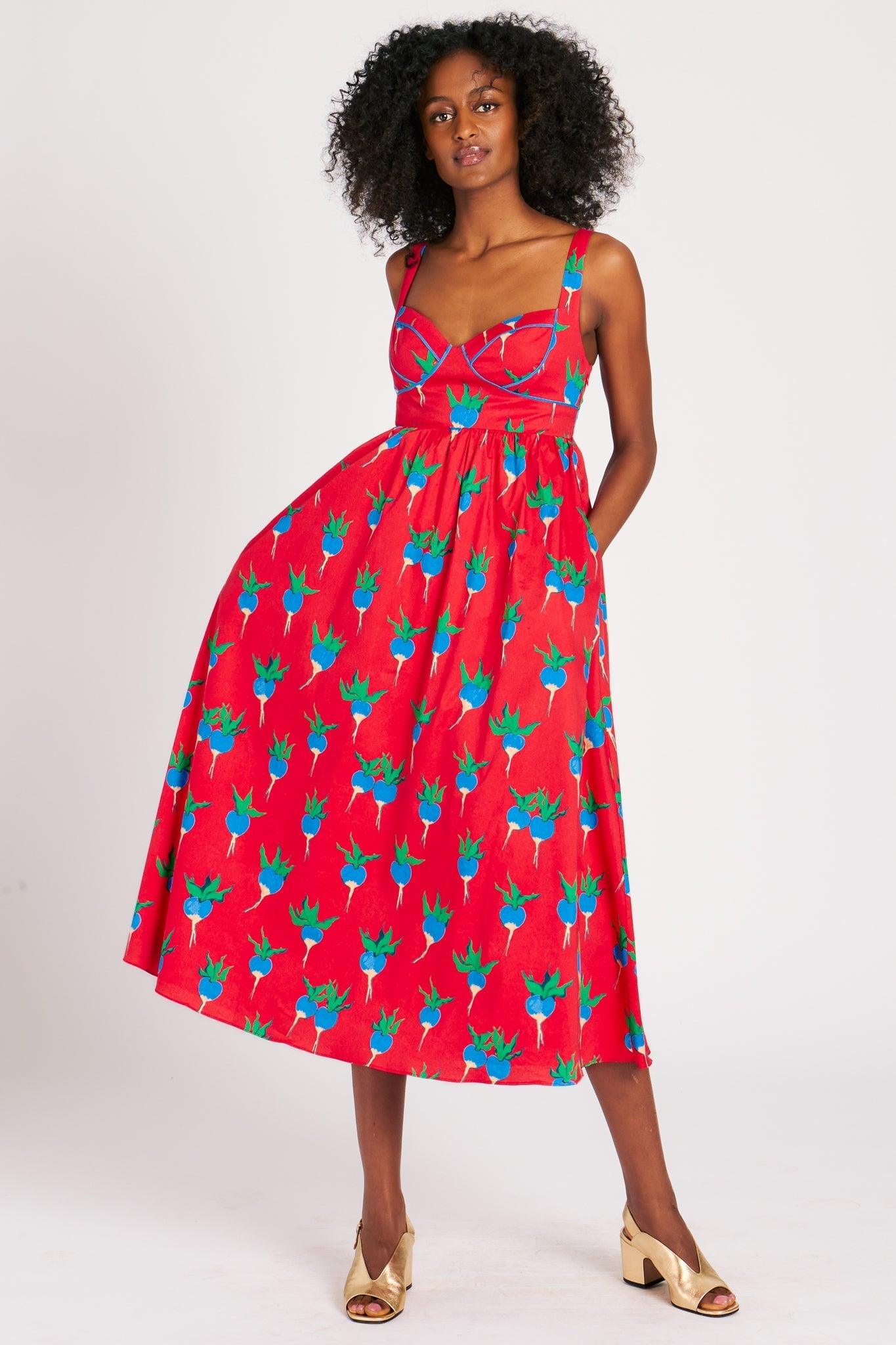 VICTORIA DRESS BLUE RADISHES DRESSES RachelAntonoff.com 