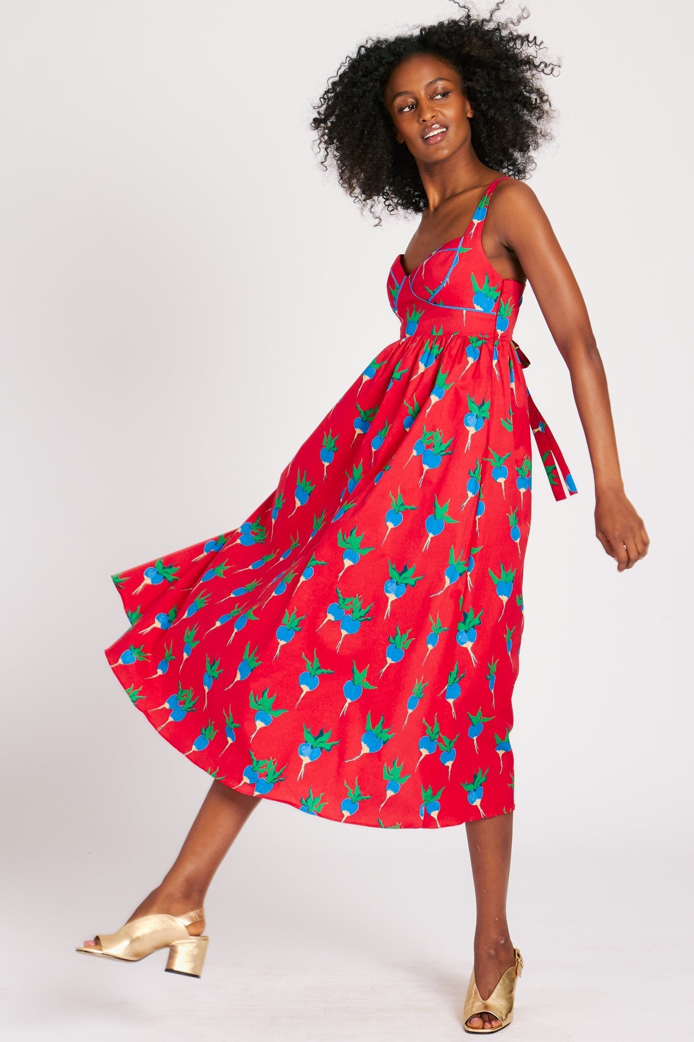 VICTORIA DRESS BLUE RADISHES DRESSES RachelAntonoff.com 