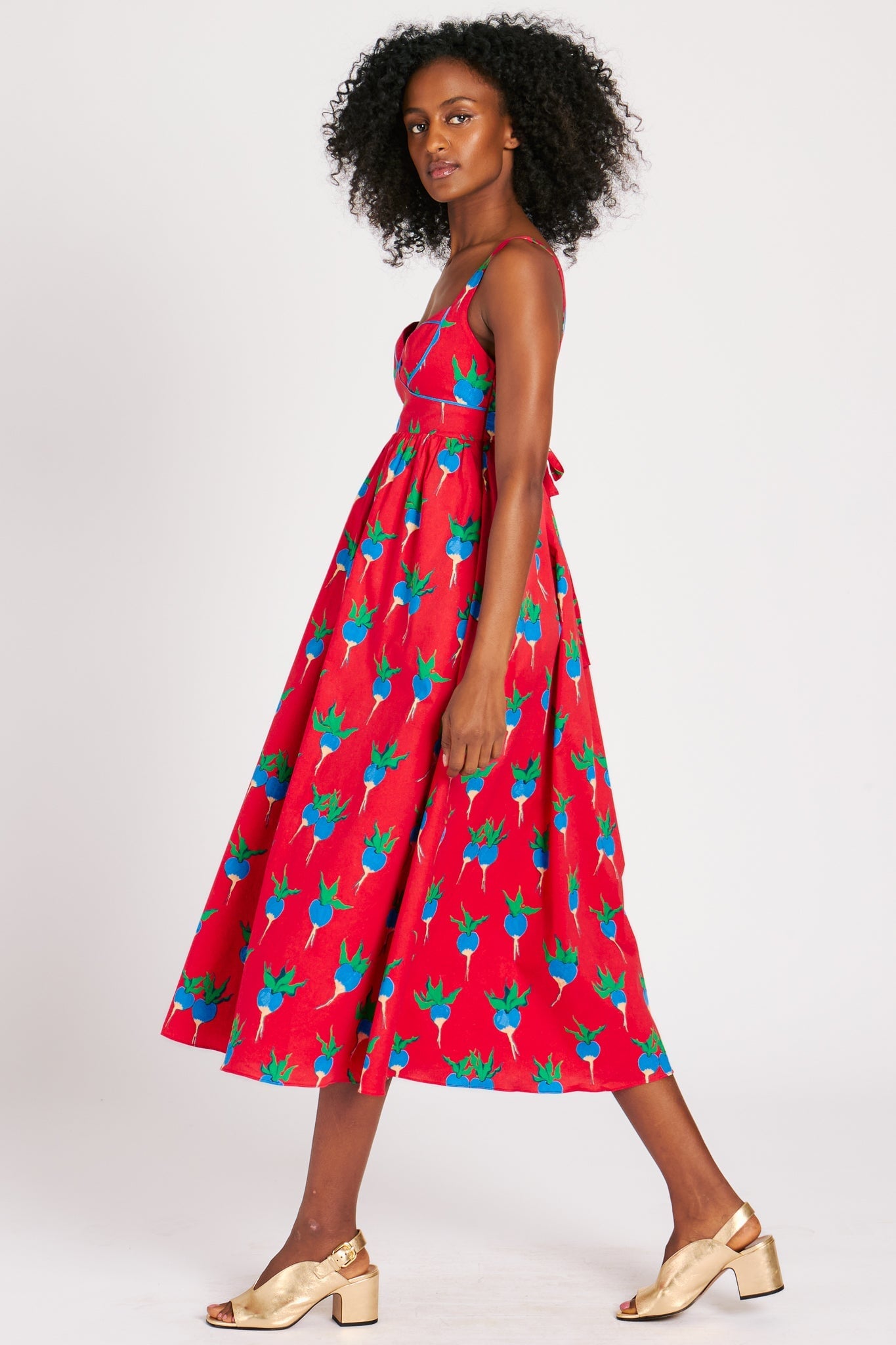 VICTORIA DRESS BLUE RADISHES DRESSES RachelAntonoff.com 