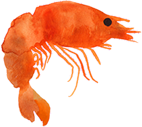 Prawn Print Exclusive Prints