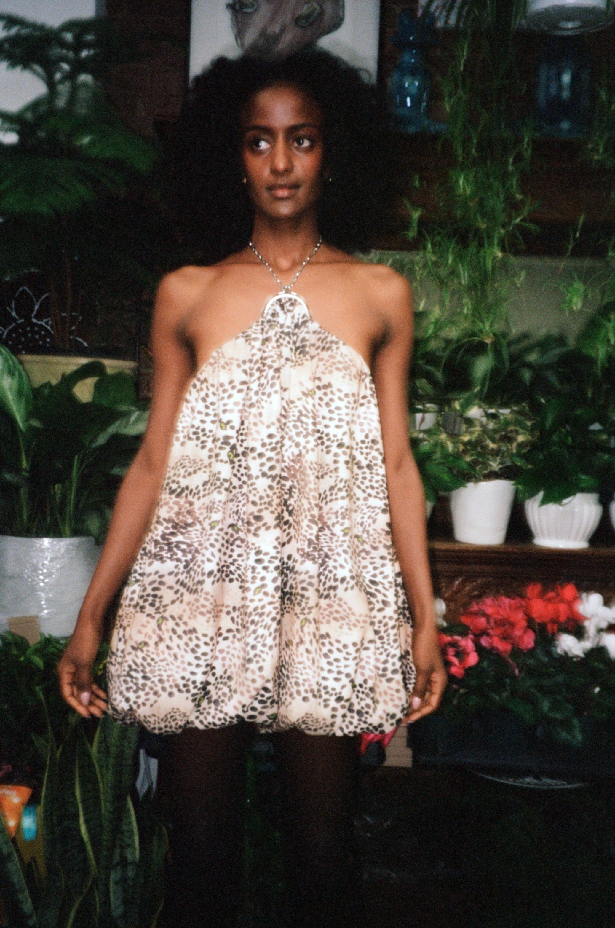 CHLOE COIN PURSE DRESS WELCOME HOME, CHEETAH DRESSES RachelAntonoff.com 