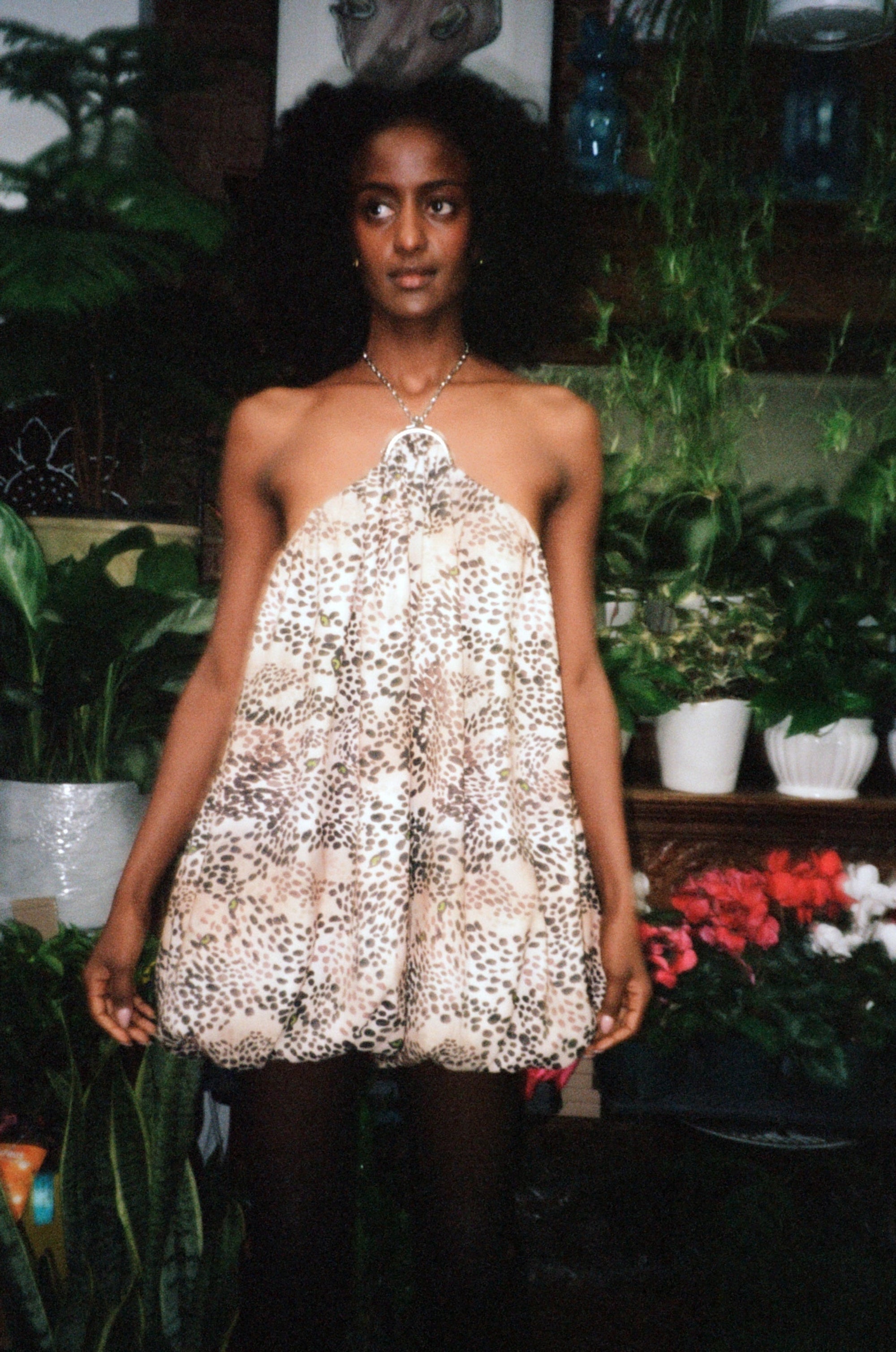 CHLOE COIN PURSE DRESS WELCOME HOME, CHEETAH DRESSES RachelAntonoff.com 