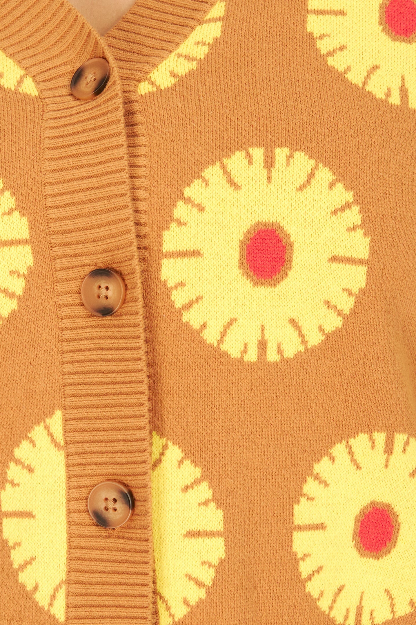 ANA CARDIGAN PINEAPPLE CAKE SWEATERS RachelAntonoff.com 